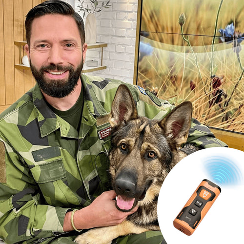 Förvandla din hunds skällande och beteende – snabbt, enkelt och på ett skonsamt sätt!